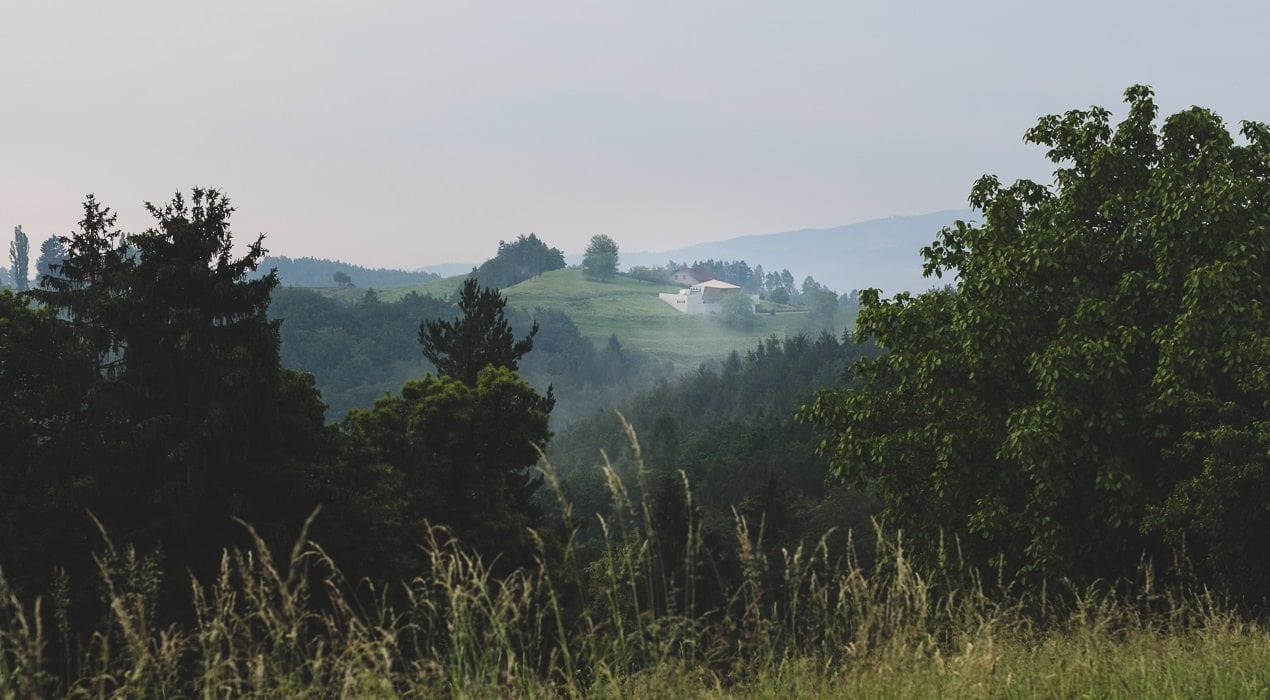 Weingut Daniel Jaunegg, Südsteiermark