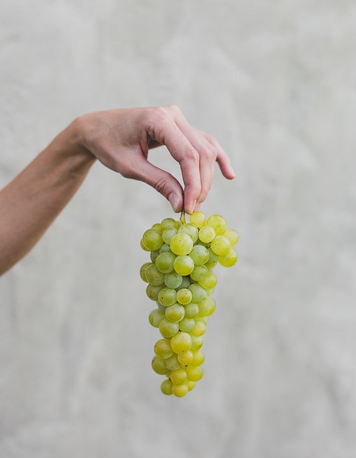 Weingut Daniel Jaunegg, Südsteiermark